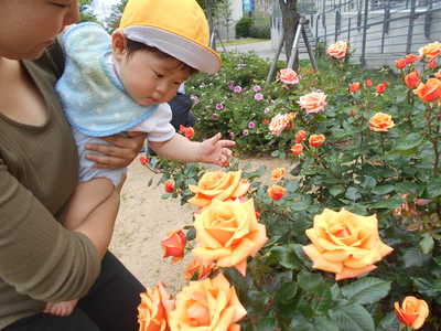  いい香りがするよ