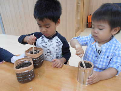  お米になるかな？