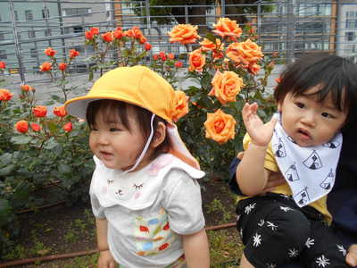  きれいなバラをバックに…♡