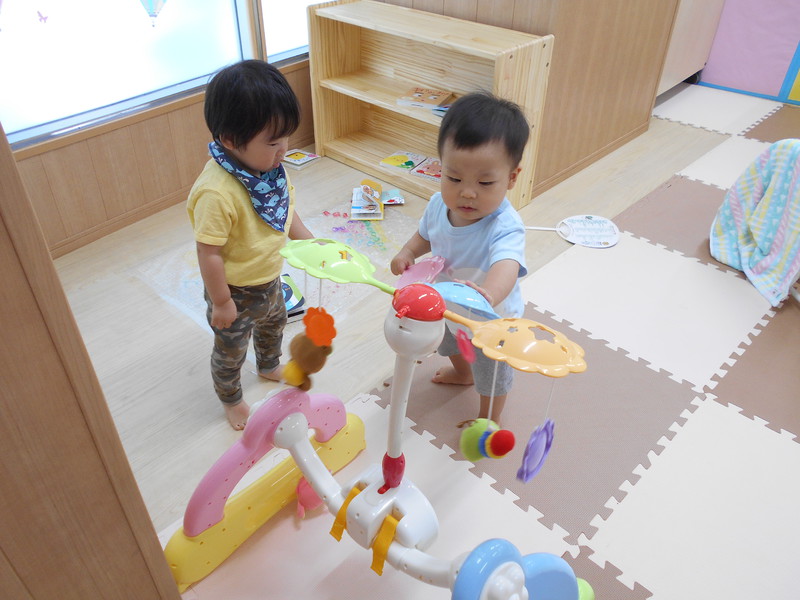 新しいおもちゃに興味しんしん❣