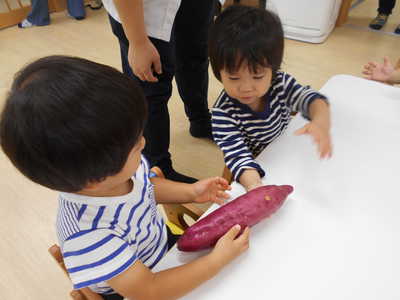  さつまいもだよ