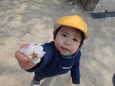  お花どうぞ🌸（注：落ちていた花です）