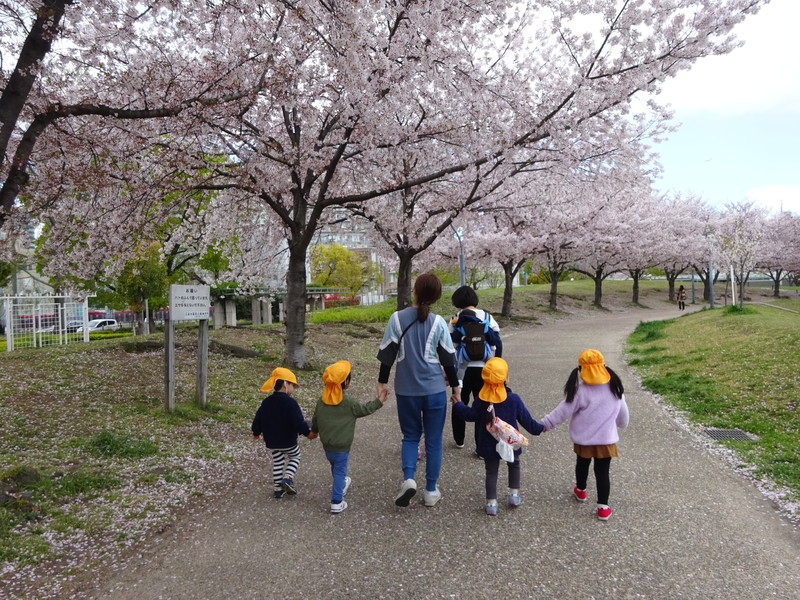 春の扇町公園🌸