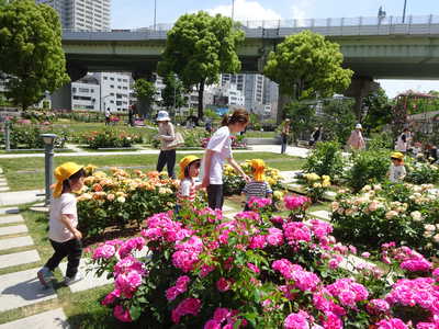  きれいだねー♪