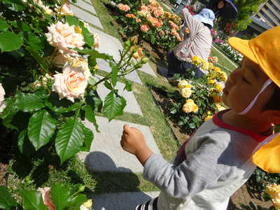  トゲがあるからきをつけてね⚠