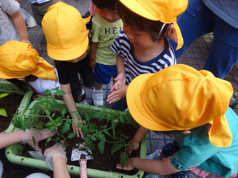 土をとんとんとん🎶