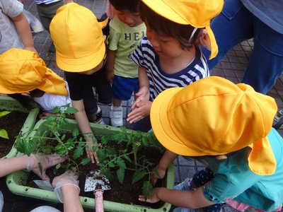 土をとんとんとん🎶