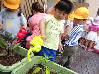  お水を上げて🐘💦