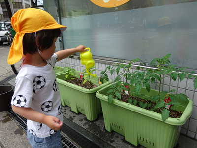  おおきくなあれ💗