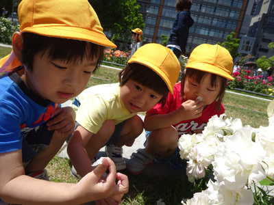  何か見つけたよ💡✨