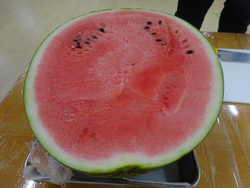 大きなすいか🍉