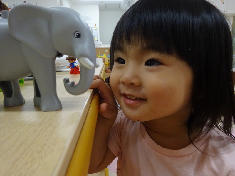 ぞうさんみーつけた🐘