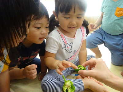  わぁすごーい💓