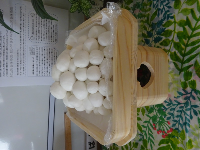 お月見だんご🍡