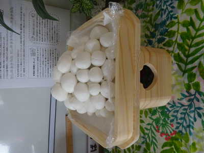  お月見だんご🍡