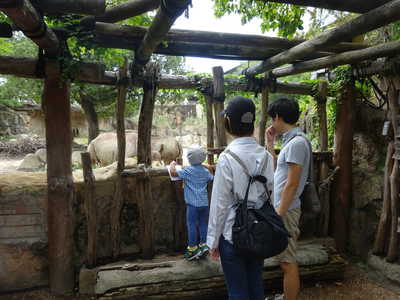  カバさん見つけたー‼