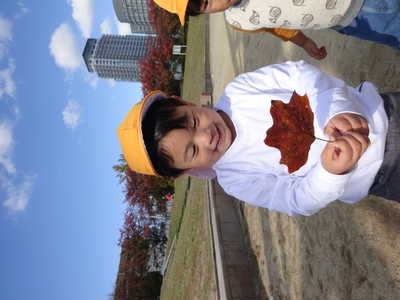  大きな葉っぱみーつけた👀