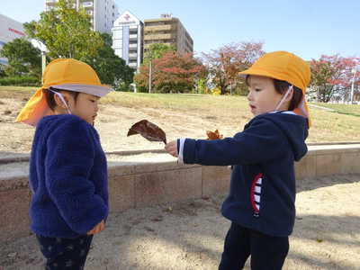  小さな秋みーつけた🍂
