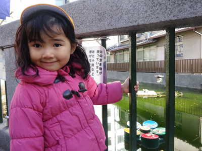  カメさんいたよー🐢