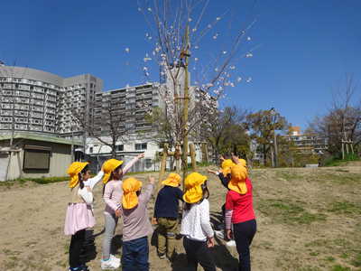  桜みーつけた⭐