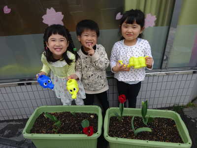  チューリップが咲いたよ🌷