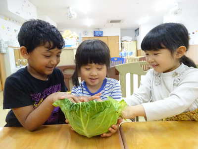  春野菜を触ってみよう⭐