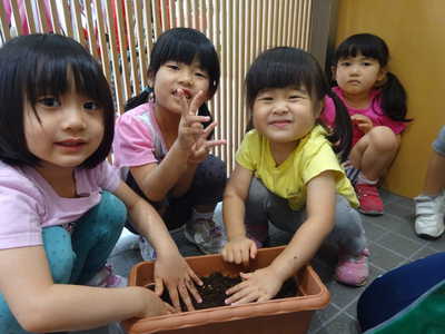  アサガオの種植えをしたよ💓