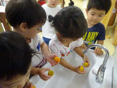  梅をきれいに洗って…✨