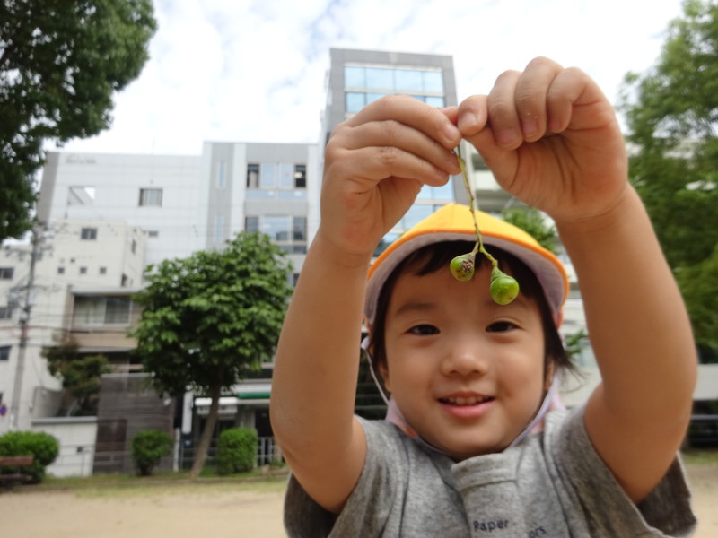 これはなにかな〜？