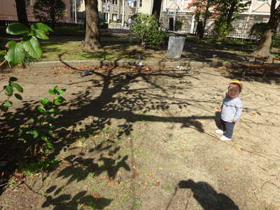  鳩さーんおいでー💗