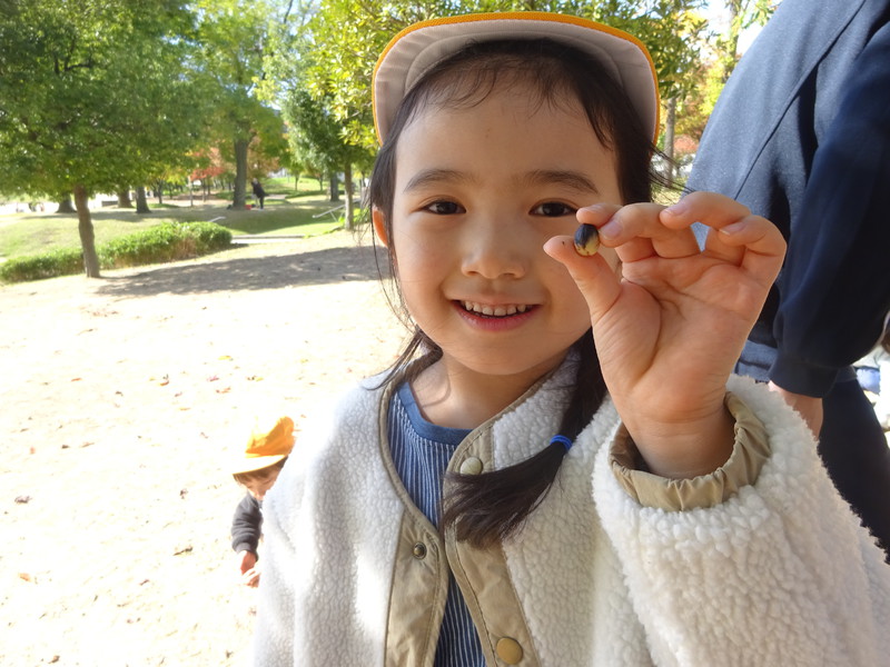 どんぐりみーつけた⭐