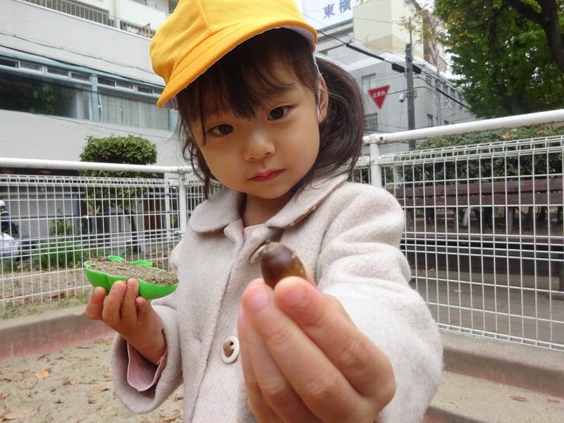 ドングリが出てきたよ‼