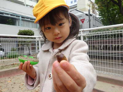  ドングリが出てきたよ‼