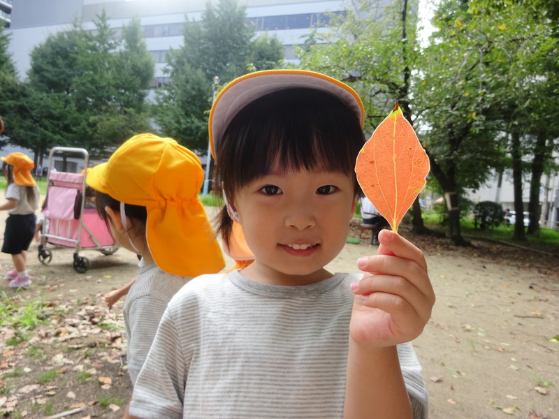 小さな秋みつけた🍂