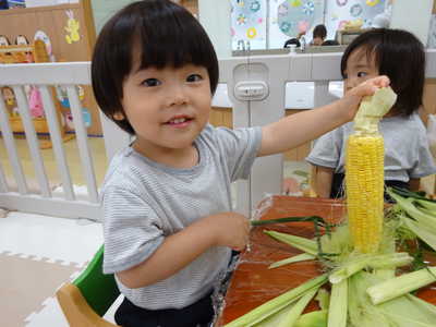  トウモロコシだよ🌽