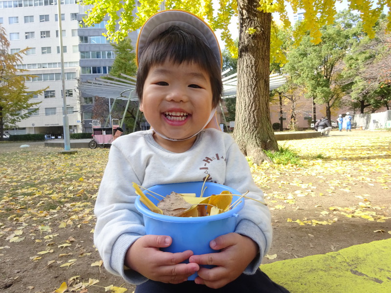 いちょういっぱーい❣