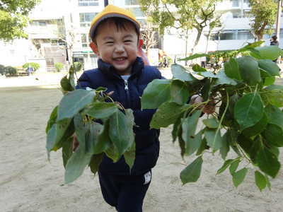  葉っぱ見つけたよ🍃